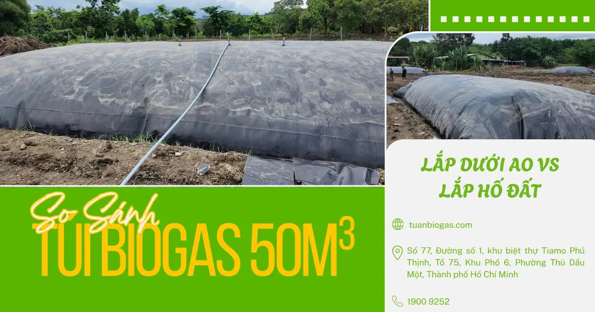 Túi Biogas 50 Khối Lắp Dưới Ao Có Khác Gì So Với Lắp Hố Đất?